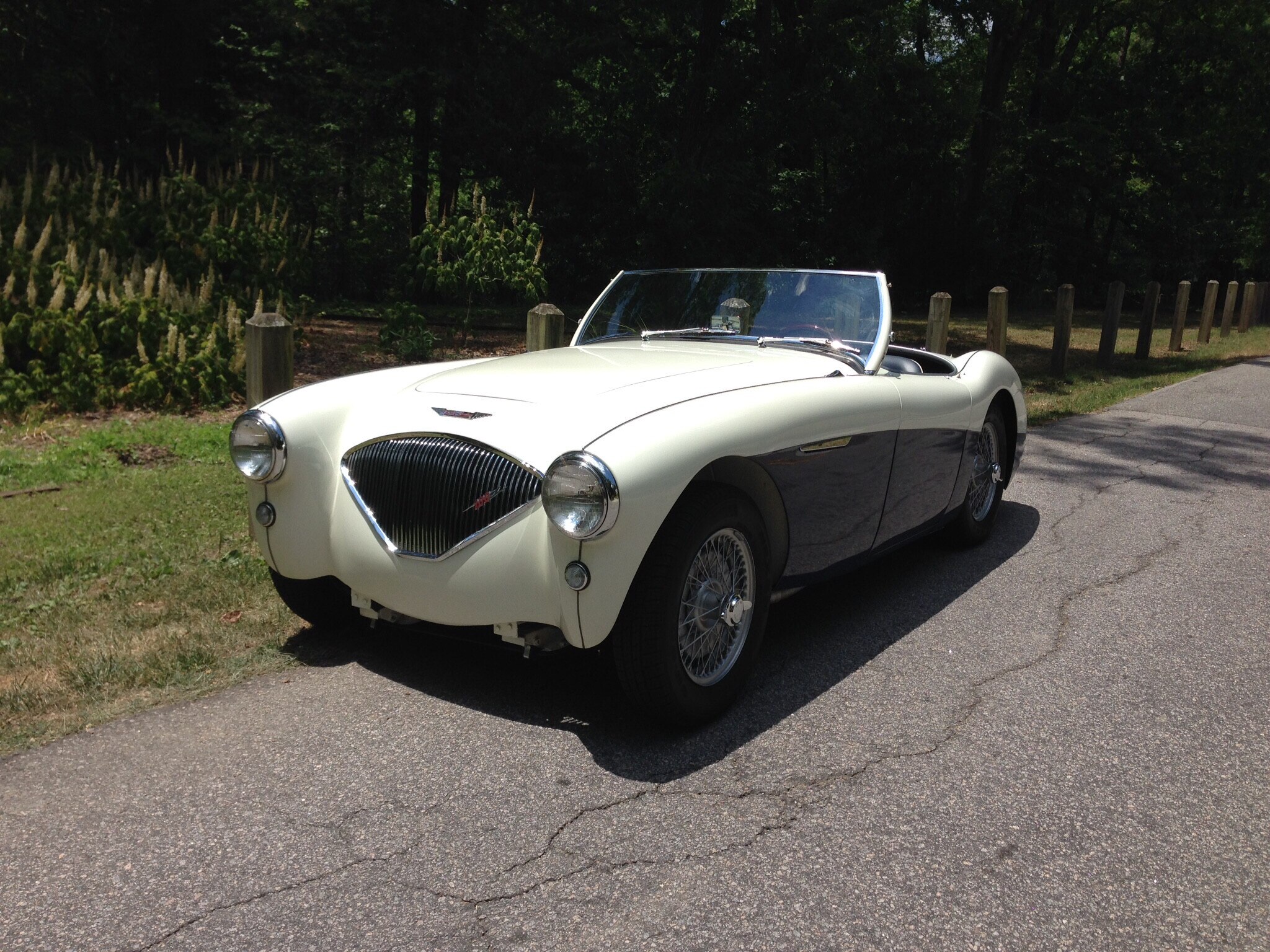 1956 Austin-Healey 100 BN2 Listed For Sale %%sep%% %%sitename%%