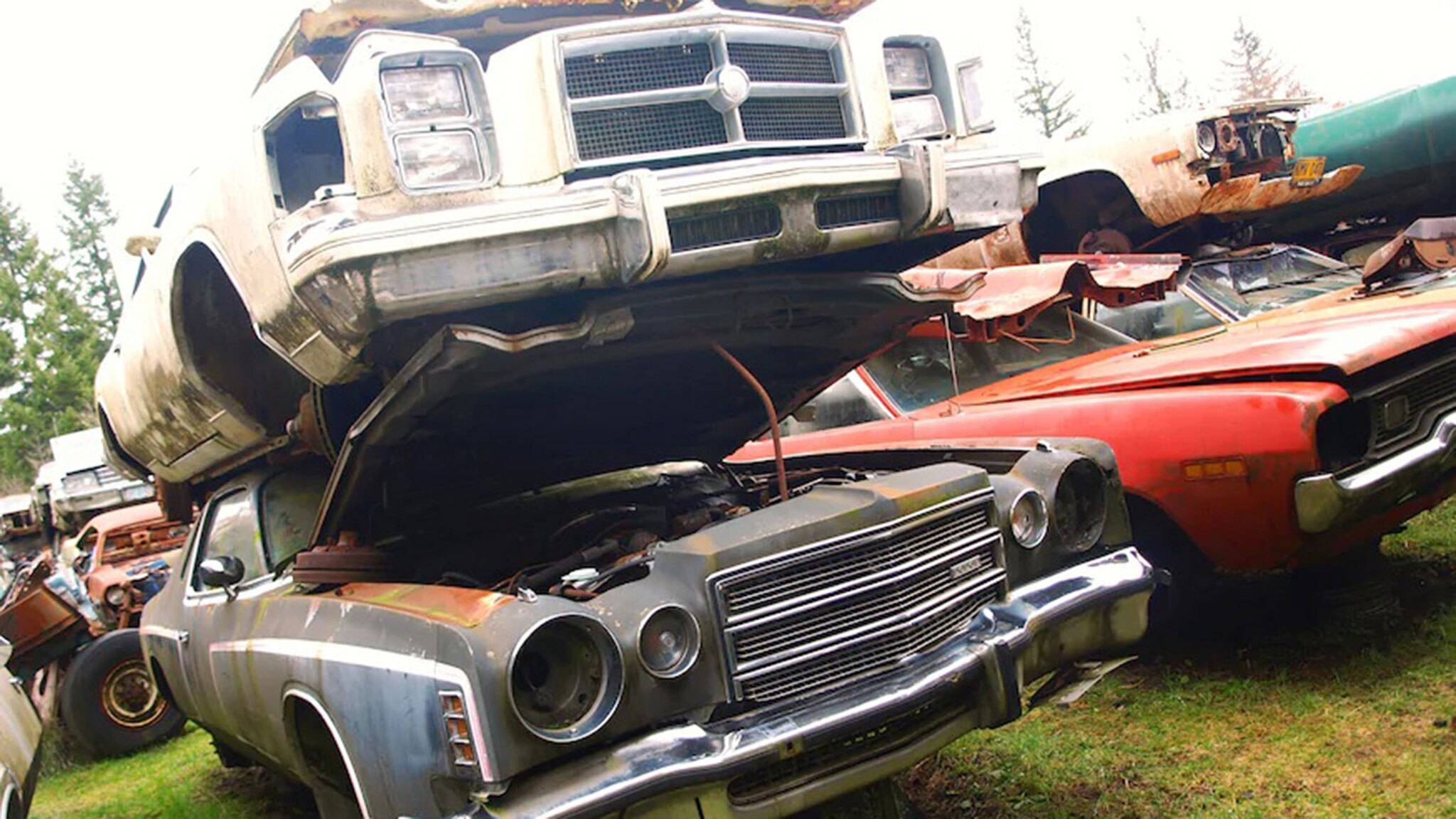 Steve Magnante Knows Classic Cars Check Out This Muscle Car Junkyard Gallery 1374